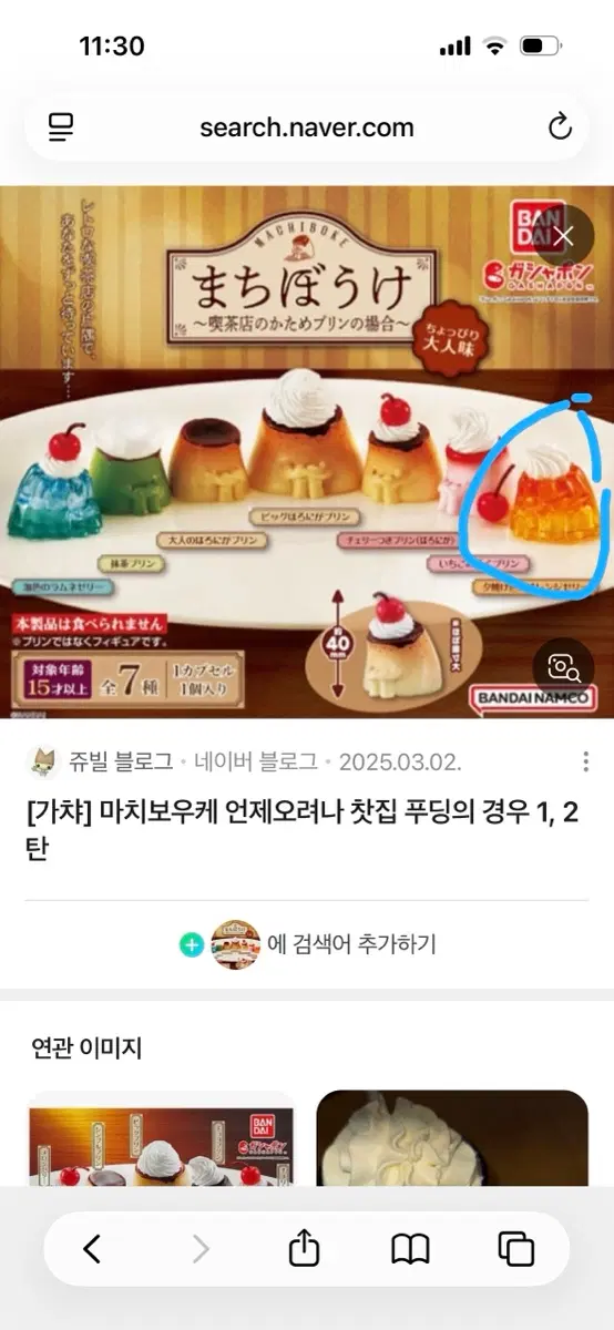마치보케 언제오려나 푸딩