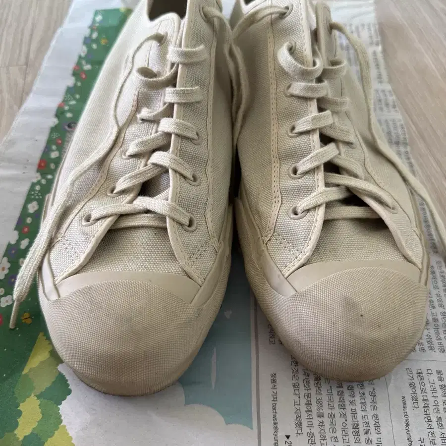 스튜디오니콜슨 문스타 도브 270