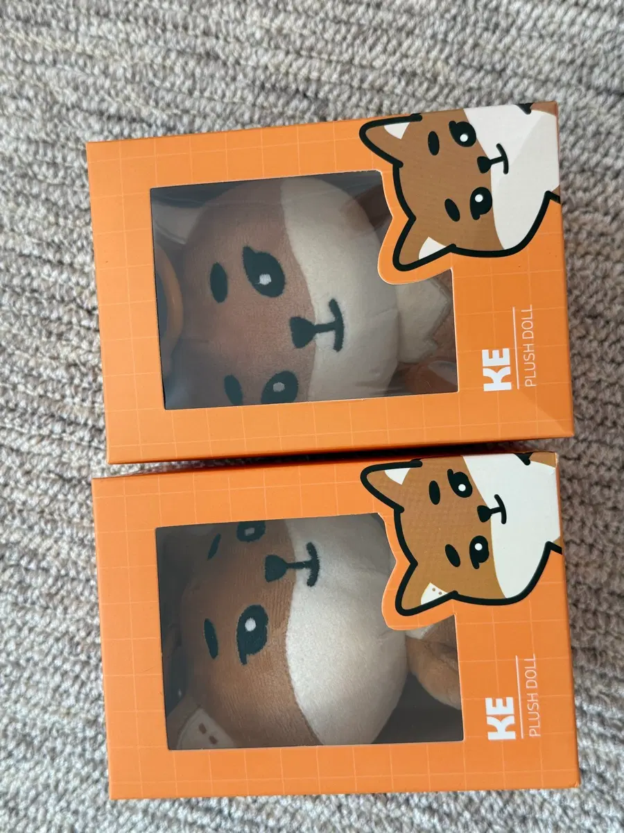 데이식스 데니멀즈 인형 2020,2024