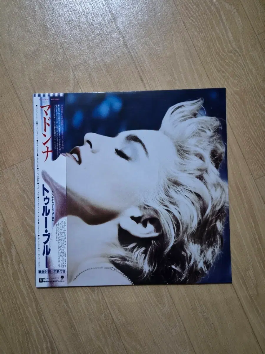 마돈나 투루 블루 LP 바이닐