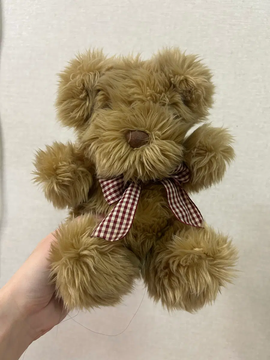 베스트에버 곰인형
