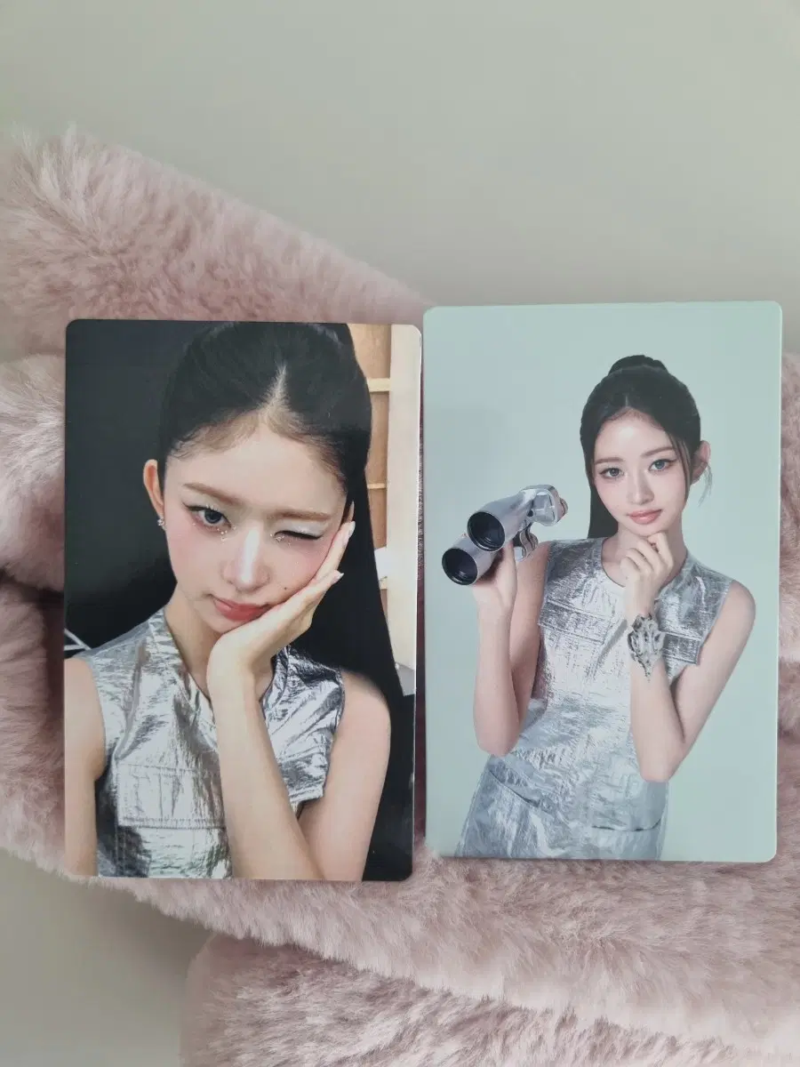 아이브 파파존스 레이포카아!