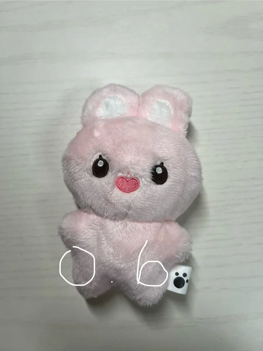 한유진 인형