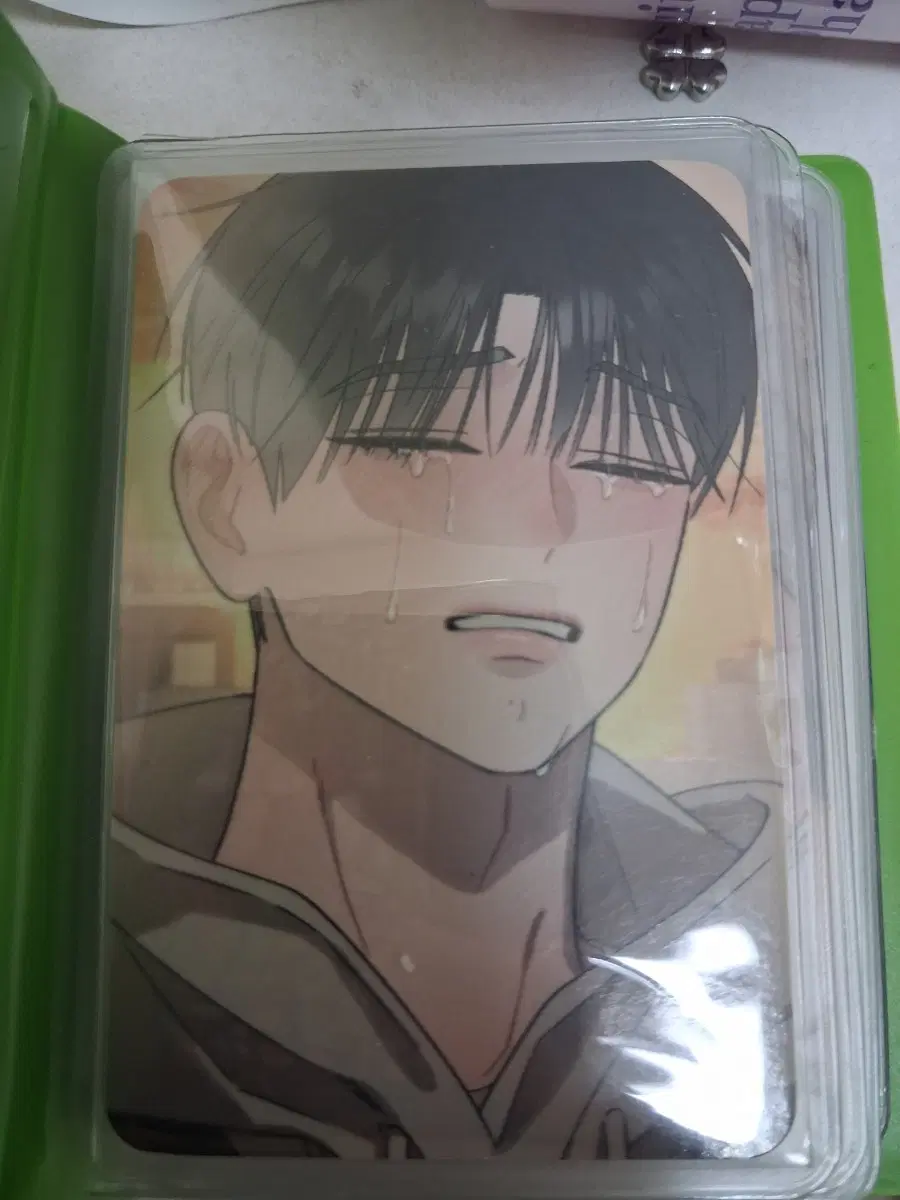 bl웹툰포카