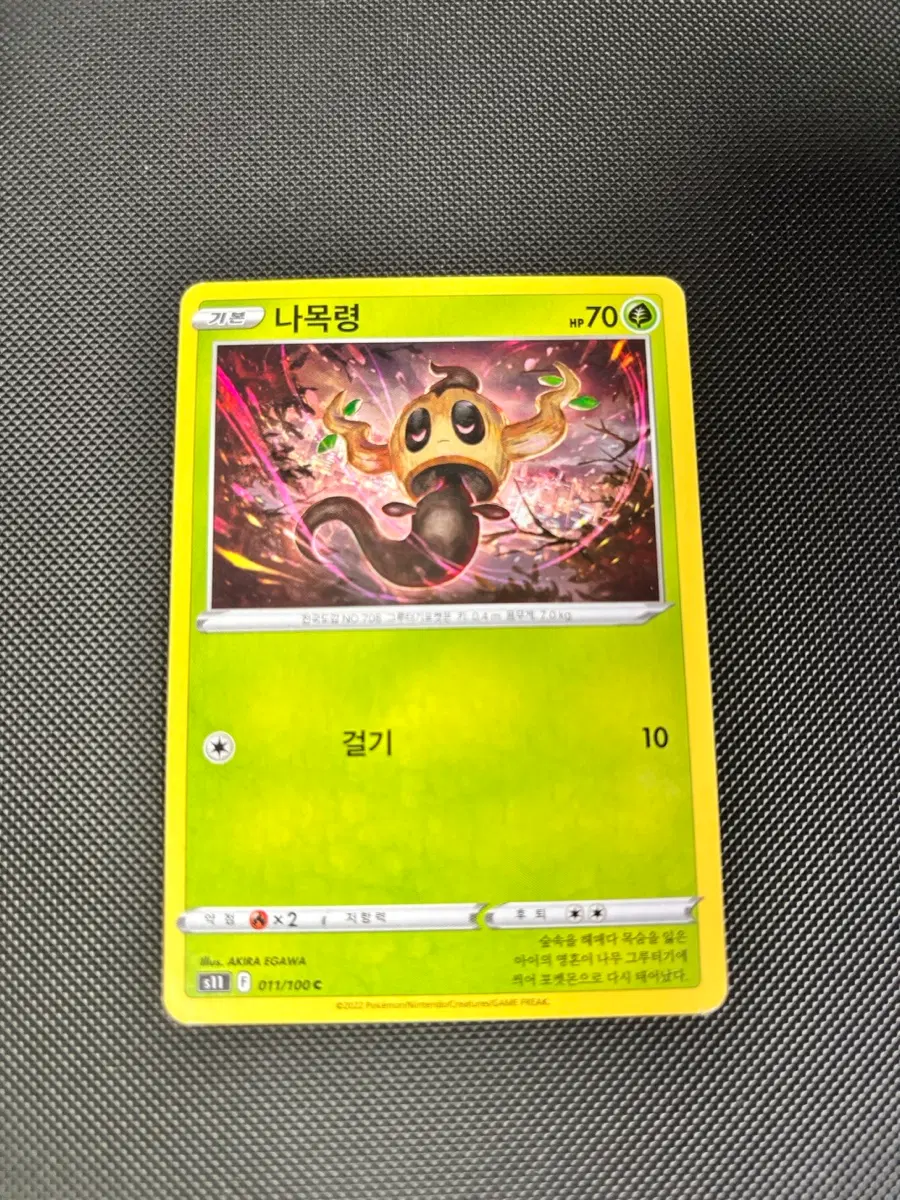 고대 빈티지 포켓몬카드 나목령 일반카드 도감용 덱소스 s11 011/100