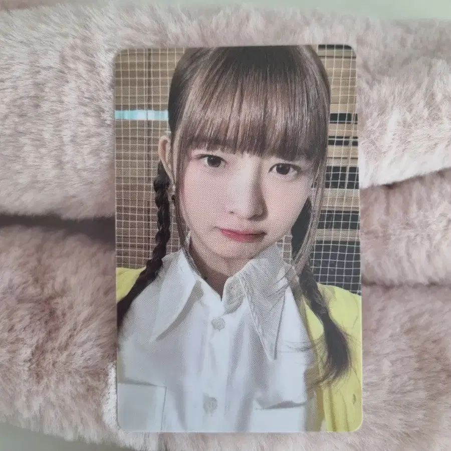아이브 레이 파파존스 포카!