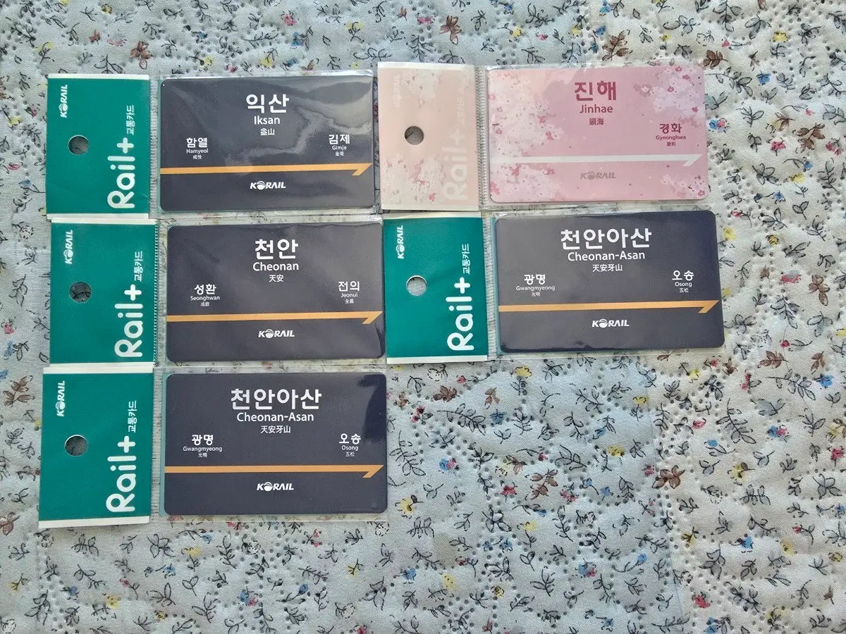 역명판교통카드