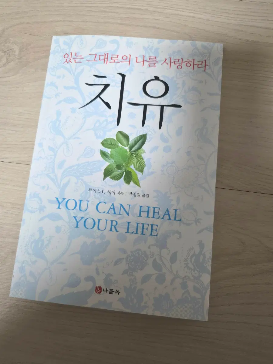 루이스헤이 치유
