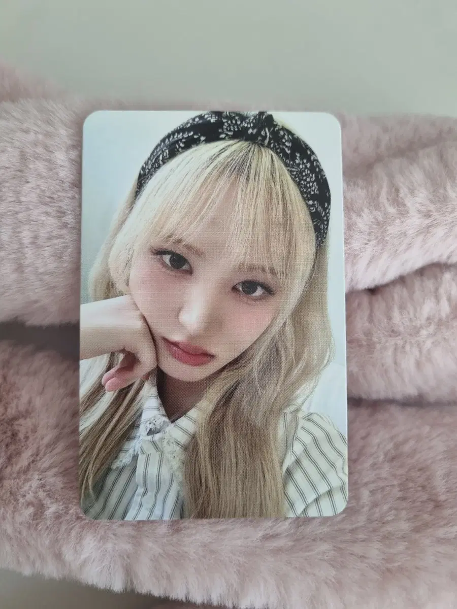 아이브 리즈 시즌그리팅 2025 포카