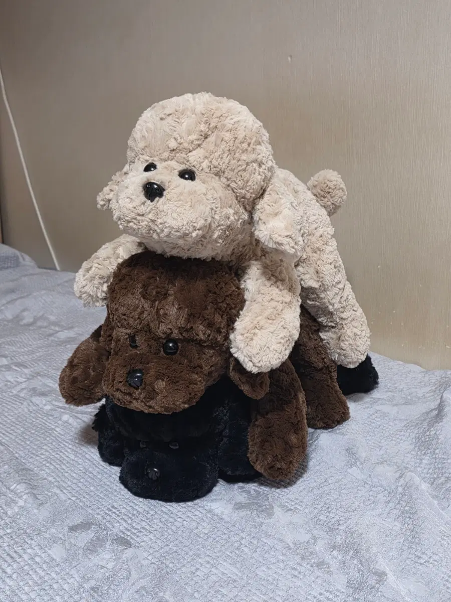 인형뽑기 강아지 인형 3종