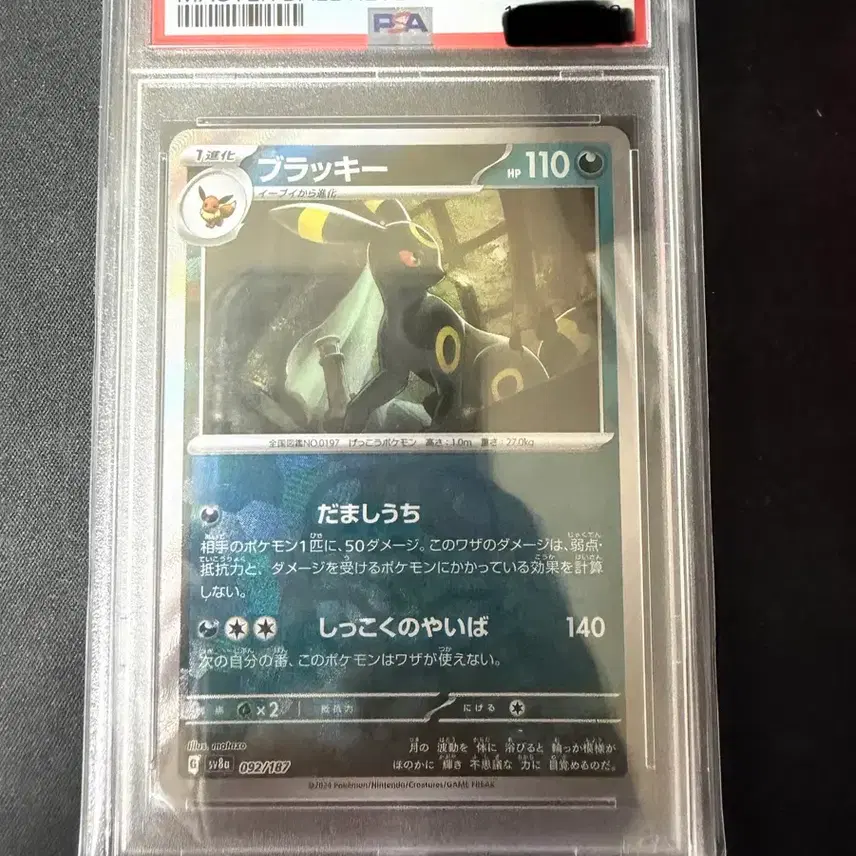 포켓몬카드 일판 블래키 마스터볼 홀로 psa10