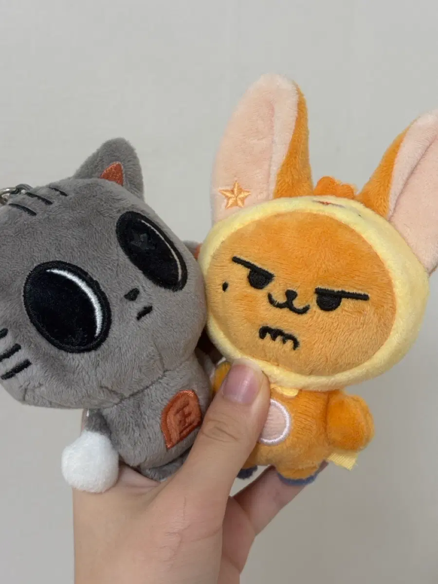 판완 ) 황춘이 다고냥 1차 정품