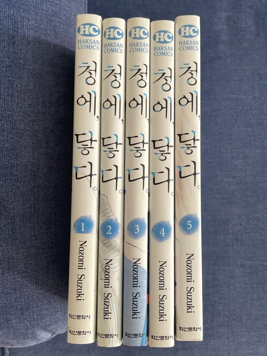 청에 닿다 1-5