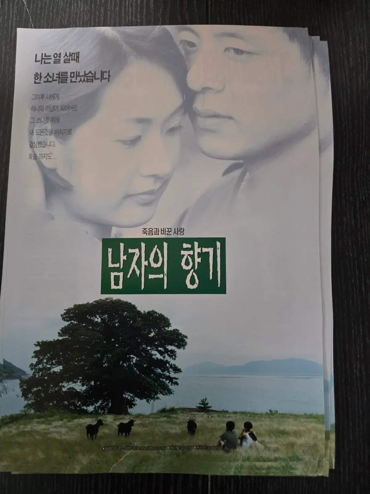 남자의 향기 / 명세빈/영화전단지/영화자료/고전희귀