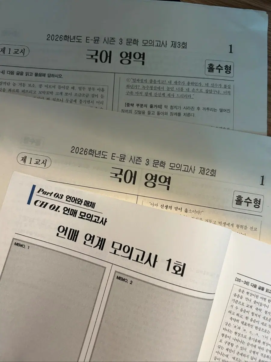 유대종 문학 / 언매 모의고사