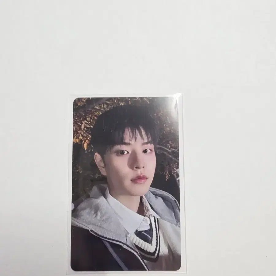 스트레이키즈 스키즈 승민 합 포카 양도 판매합니다 나눔분철교환 방찬리노현진필릭스한아이엔창빈