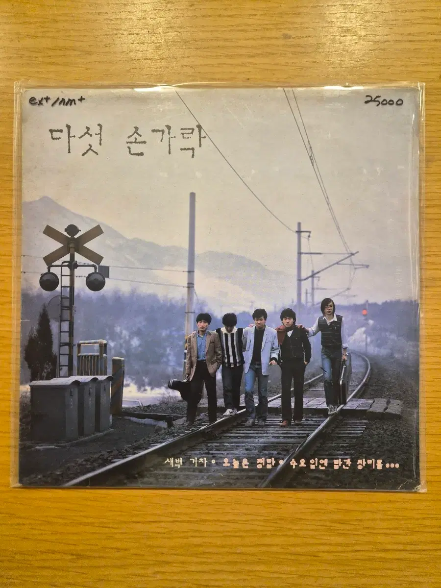 다섯손가락 lp