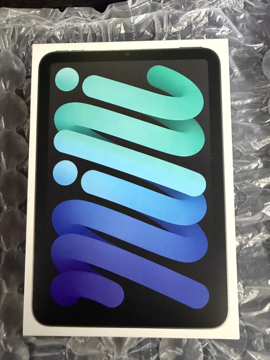 Apple 아이패드 미니 mini(A17 Pro 모델), 스페이스 그레이, 256GB, Wi-Fi, 미개봉, 새상품