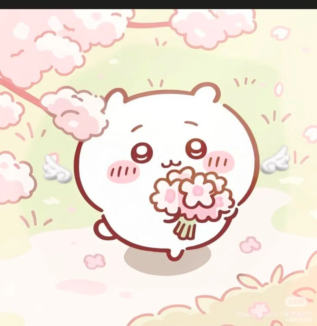 다꾸템 나눔