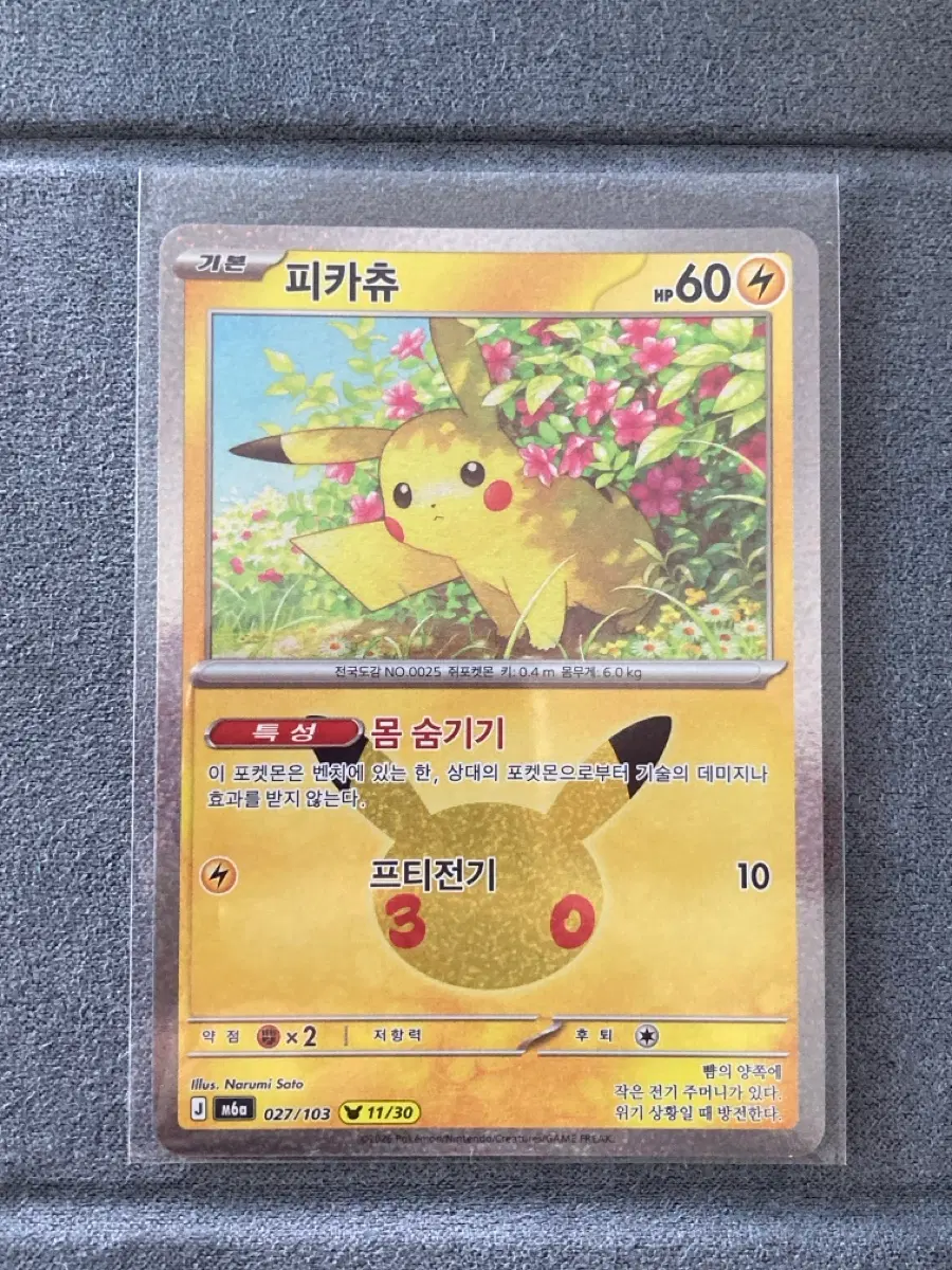 30주년 포켓몬 카드 피카츄 11번 몸 숨기기