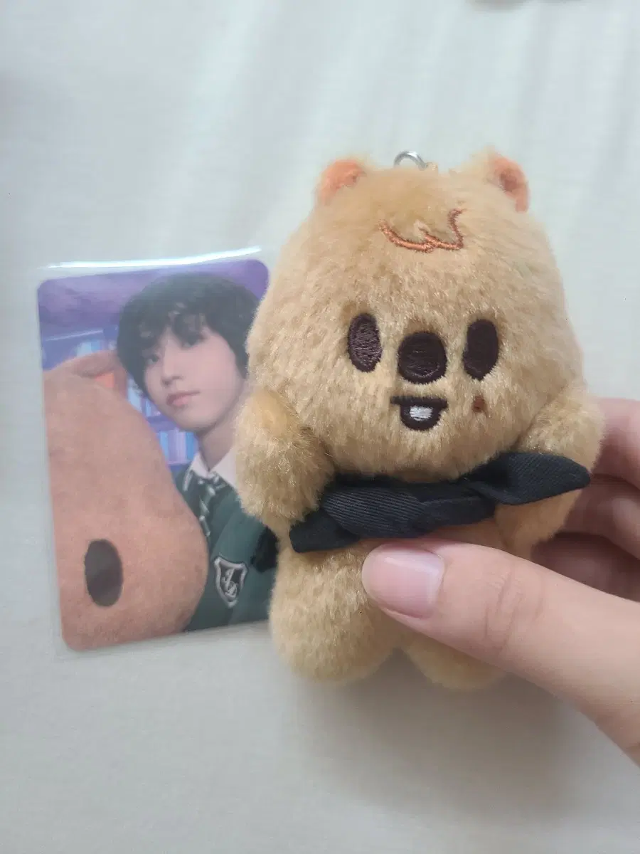 한쿼카 인형 키링