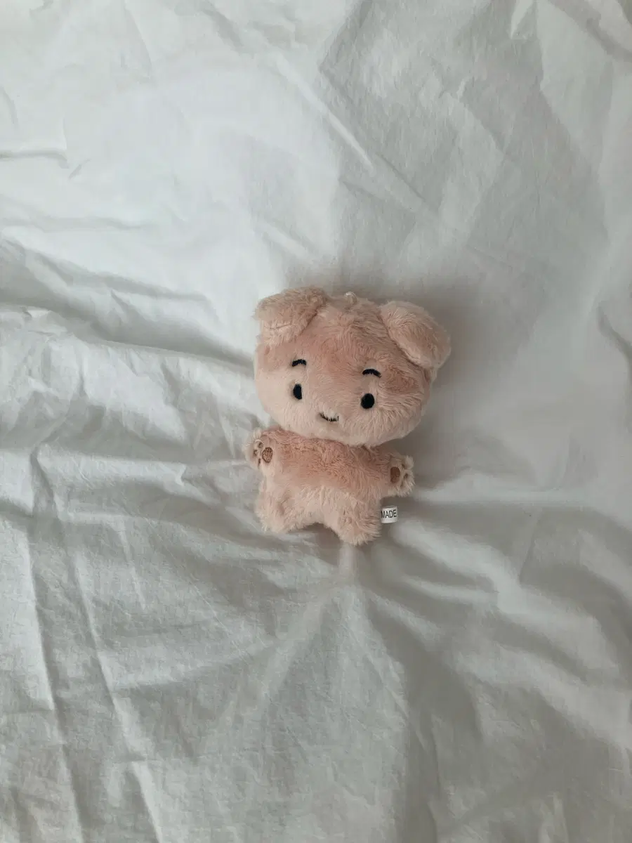 보이넥스트도어 운학 인형 뭉학이