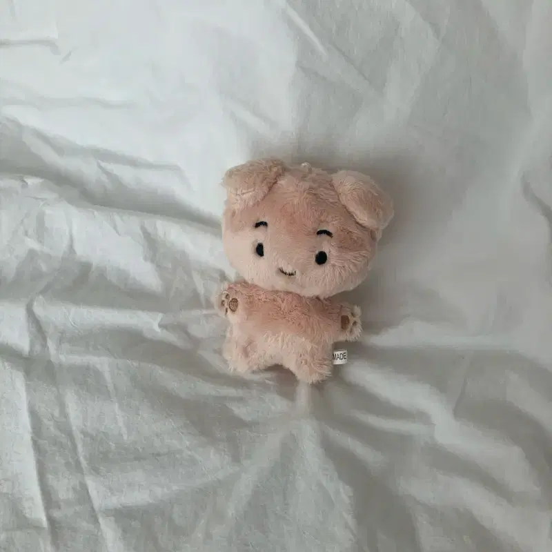 보이넥스트도어 운학 인형 뭉학이