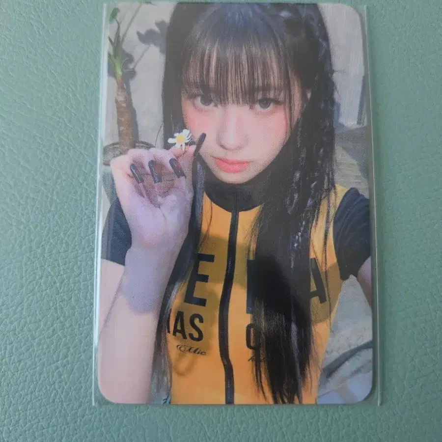 이즈나 코코 위드뮤 럭드포카 양도