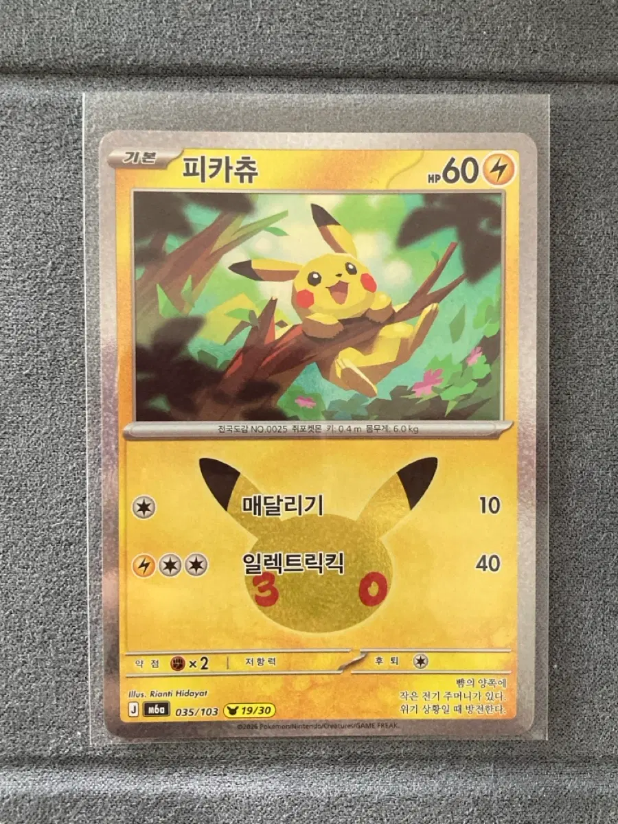 30주년 포켓몬 카드 피카츄 19번 매달리기