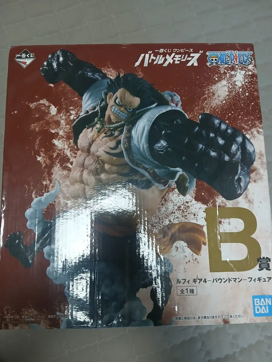 루피 B상
