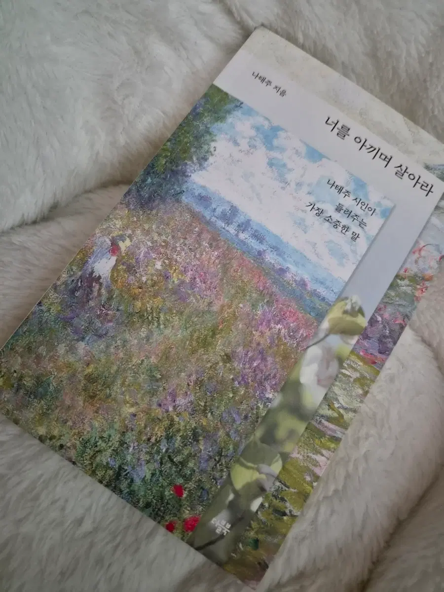 나태주 너를 아끼며 살아라