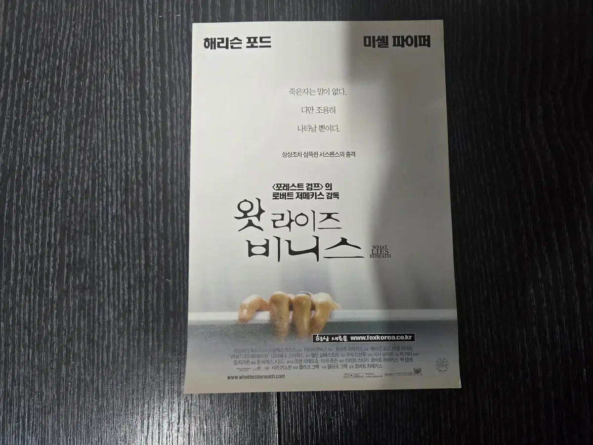 왓라이즈 비니스 / 영화전단지/영화자료/고전희귀