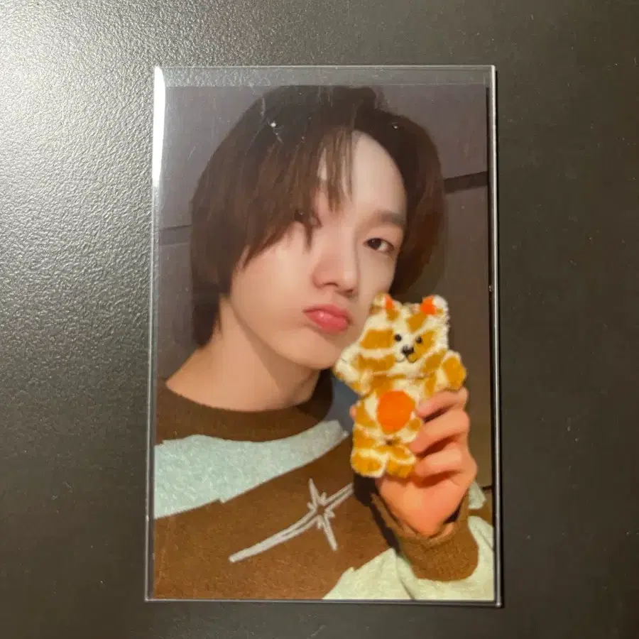 보넥도 성호 캣삐 포카