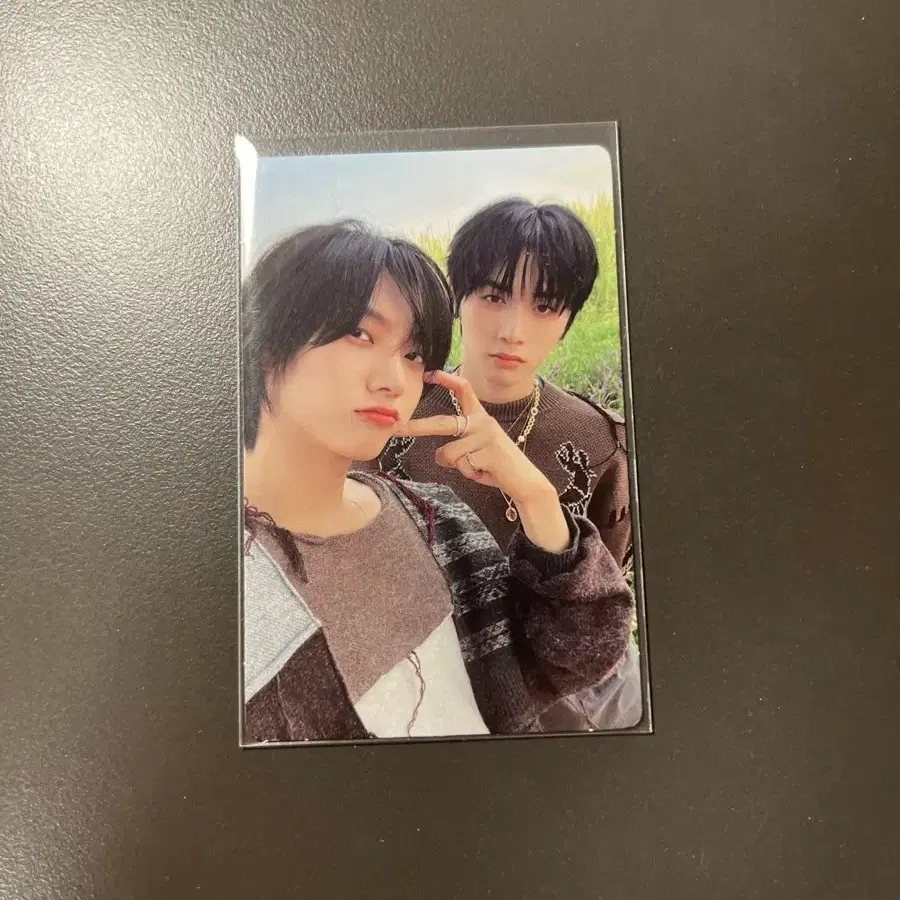 보넥도 태산성호 포카