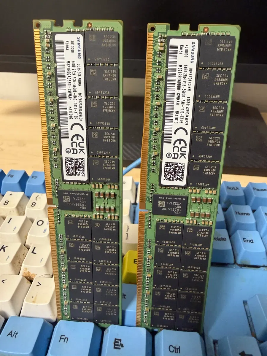 삼성 DDR5 ECC RDIMM 64GB 5600