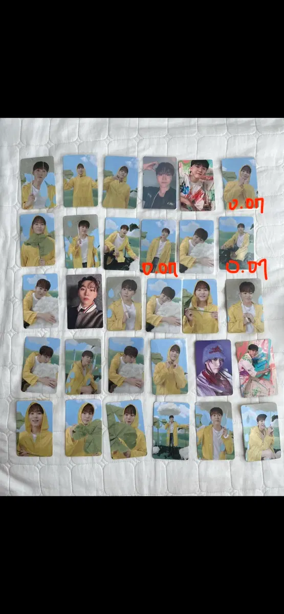 ! 세븐틴 부승관 포토카드 !
