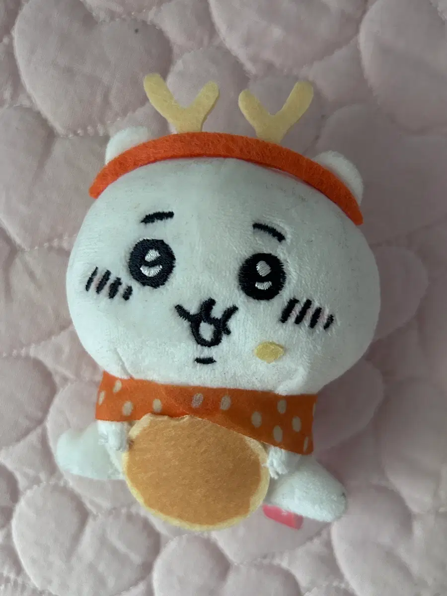 일본 나라 사슴 치이카와