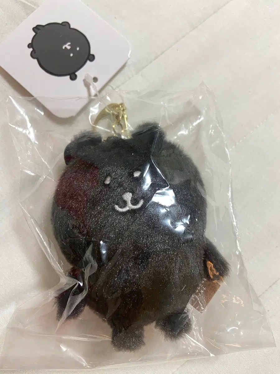컬러곰 나가노