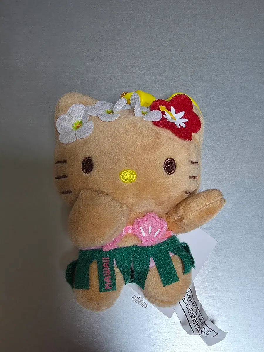 하와이 태닝 키티
