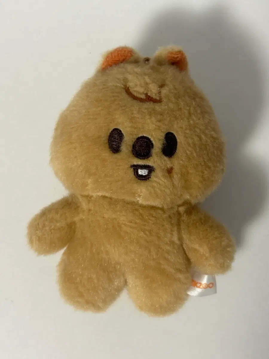 스키즈 스키주 10cm 한쿼카