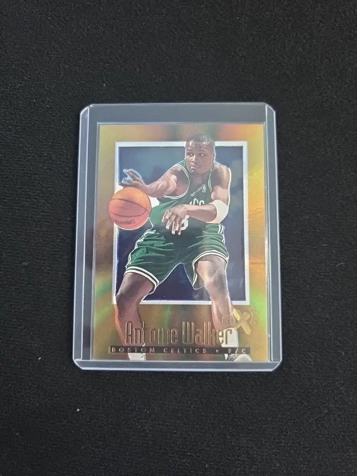 1996-97 Skybox E-X2000 - Antoine Walker #4 (RC)