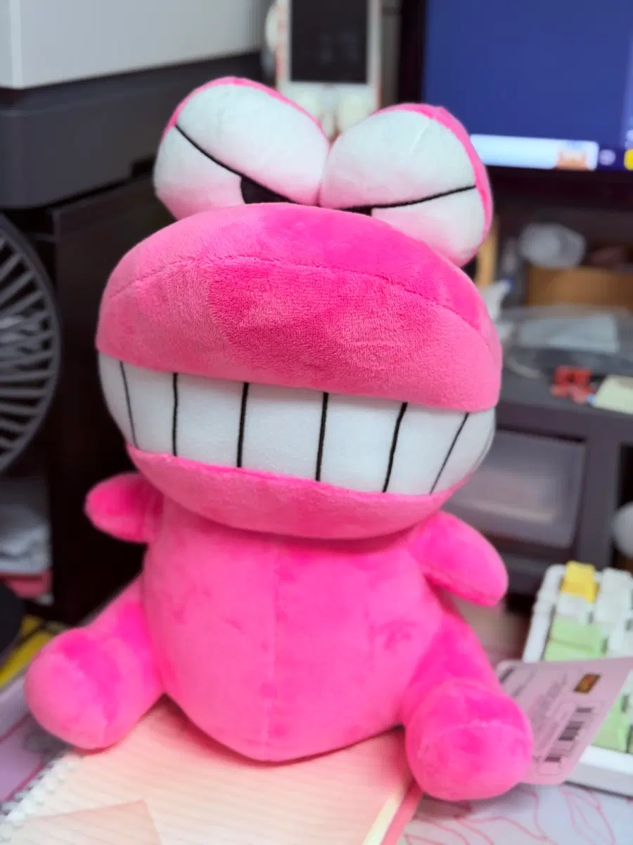 와니야마상 봉제 인형 25cm