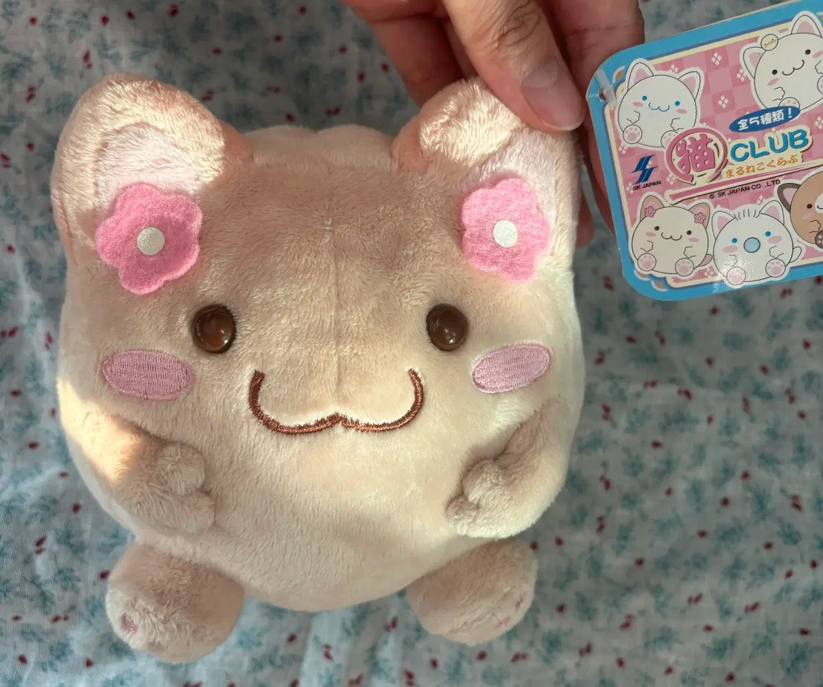 모카닮은 마루네코 인형