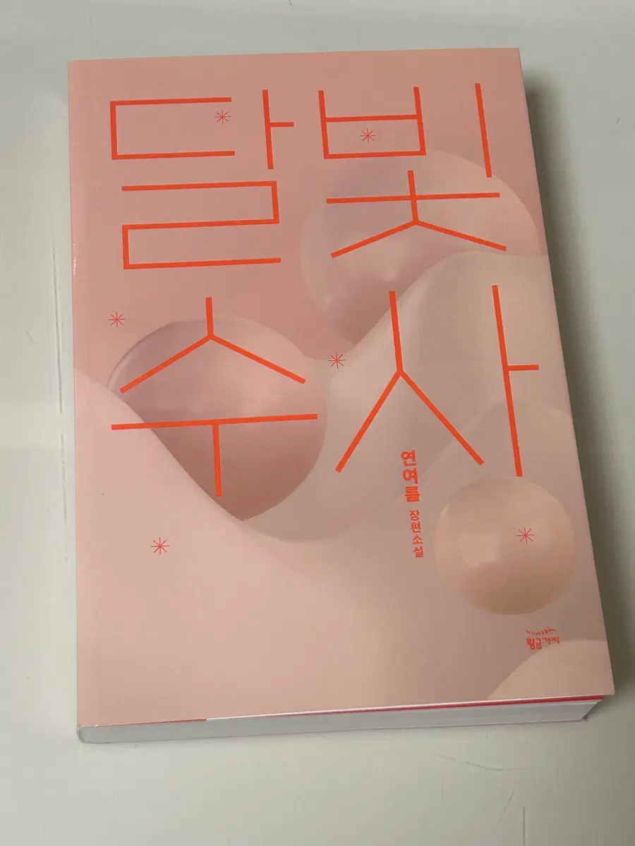 달빛수사 소설책