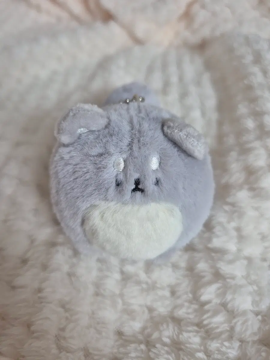 고양이 가챠 인형