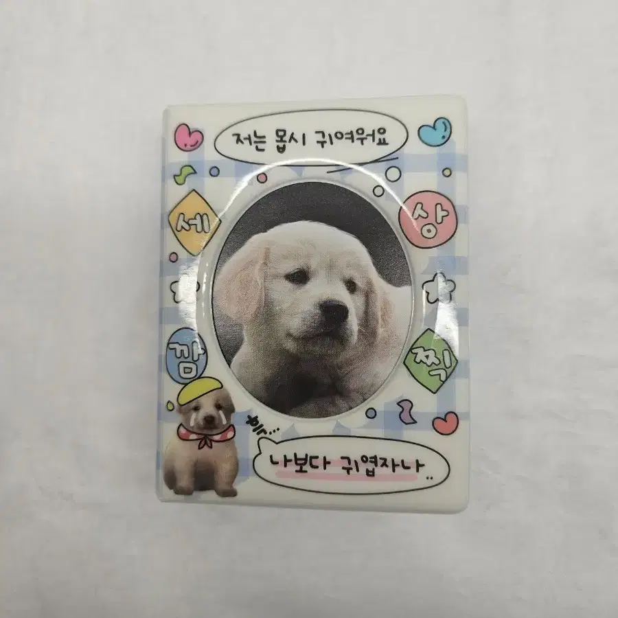 포카 아이돌 포카 파샤코레 강아지 바인더 판매