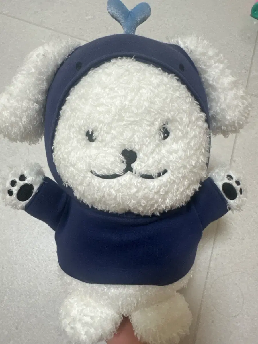 몬스타엑스 민혁 대왕 멍꼬