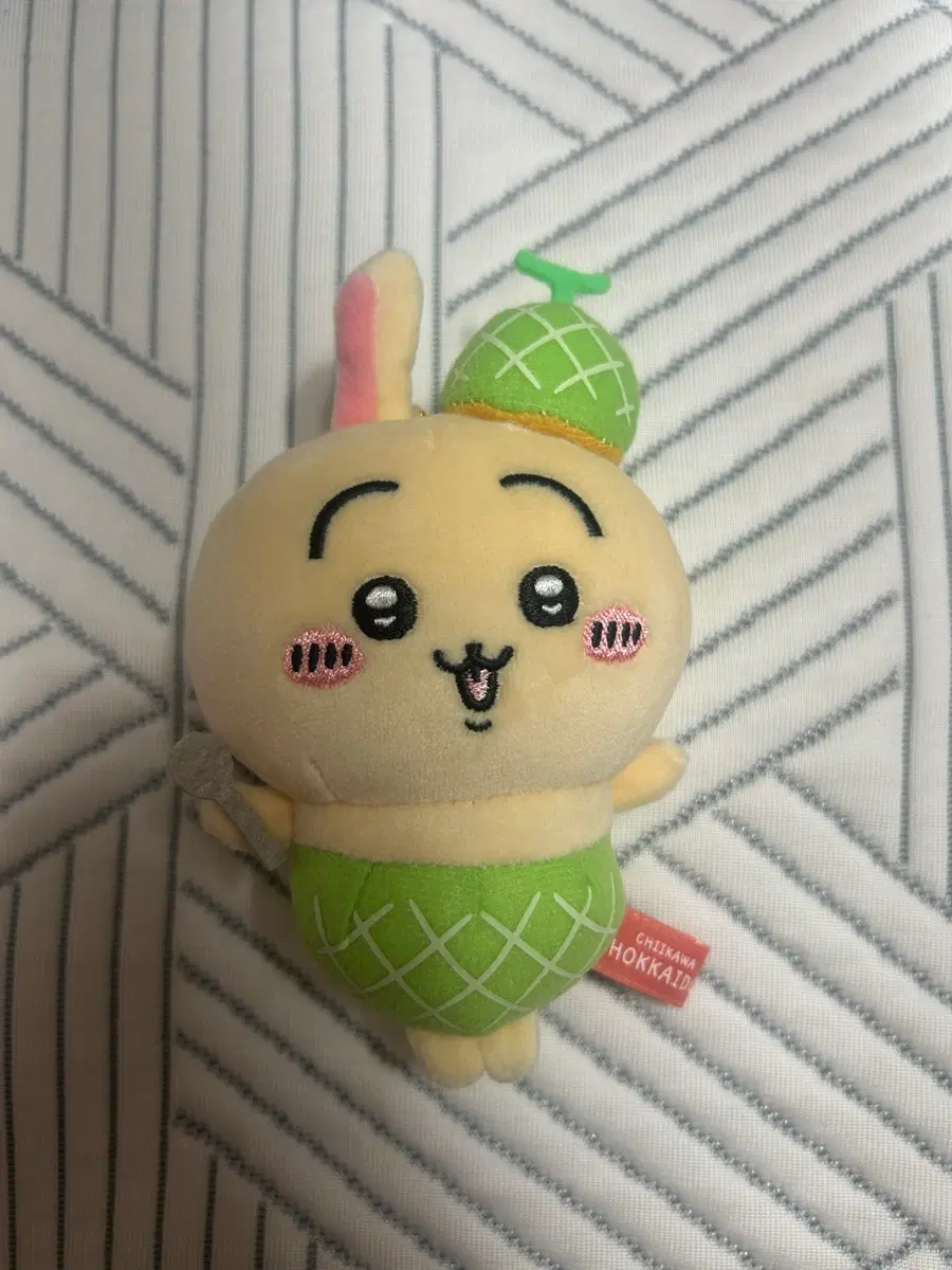 훗카이도 메론 우사기