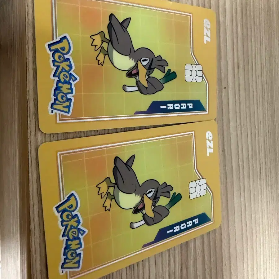포켓몬 교통카드 파오리