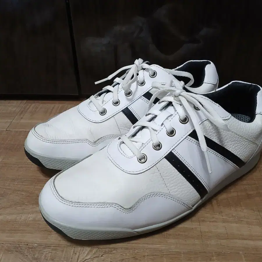 풋조이 골프화 275